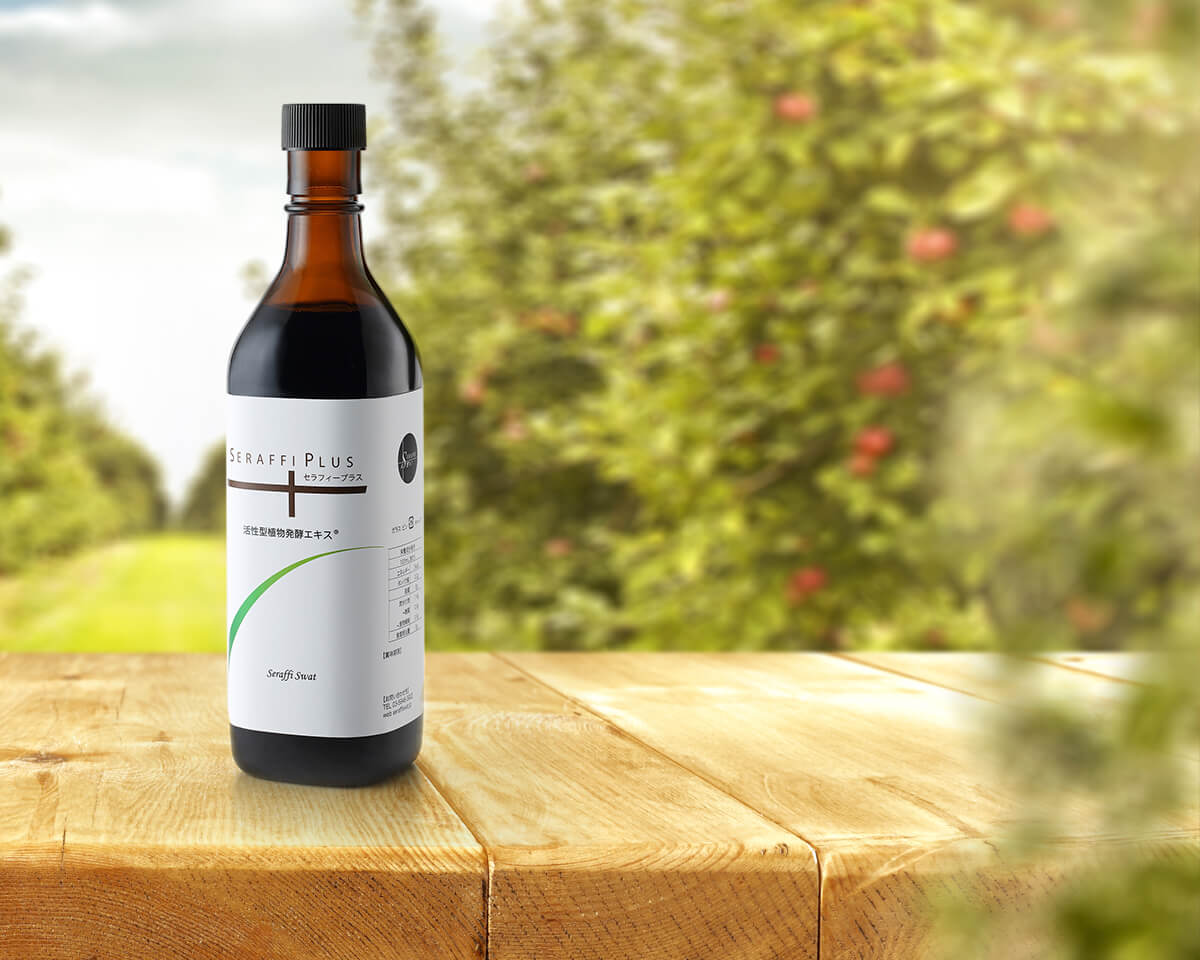 期間限定 セラフィ プラス 活性型植物発酵エキス その他 Williamsav Com